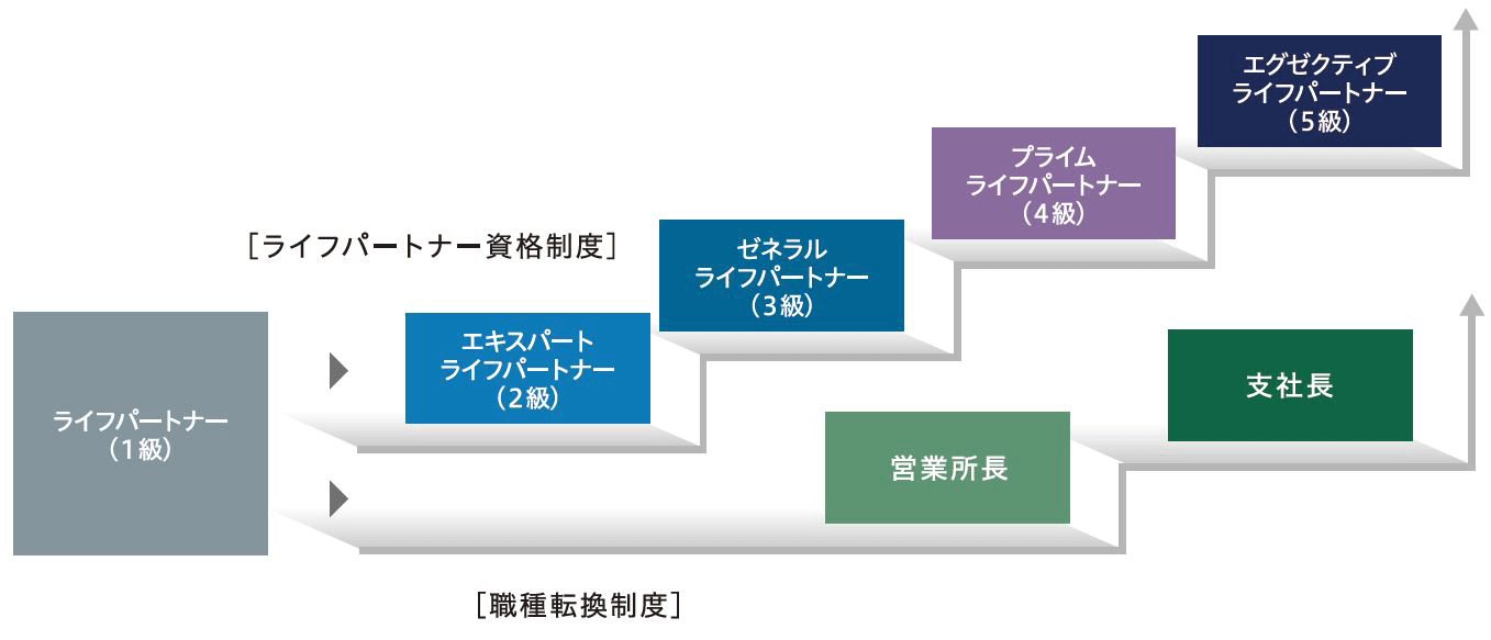 ライフパートナー資格制度/職種転換制度